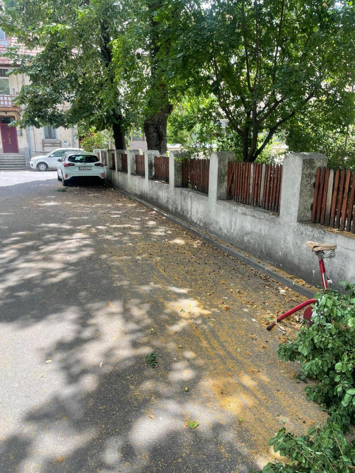 Prime 1 Studio Bucharest Exterior photo